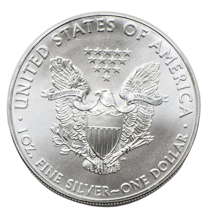 1 oz Ag - Stany Zjednoczone 1$ Orzeł 2013 - uncja srebra